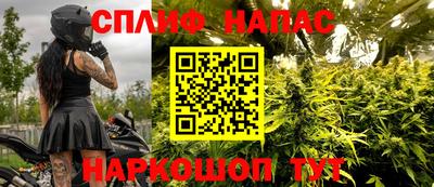 молекула духа Ставрополь
