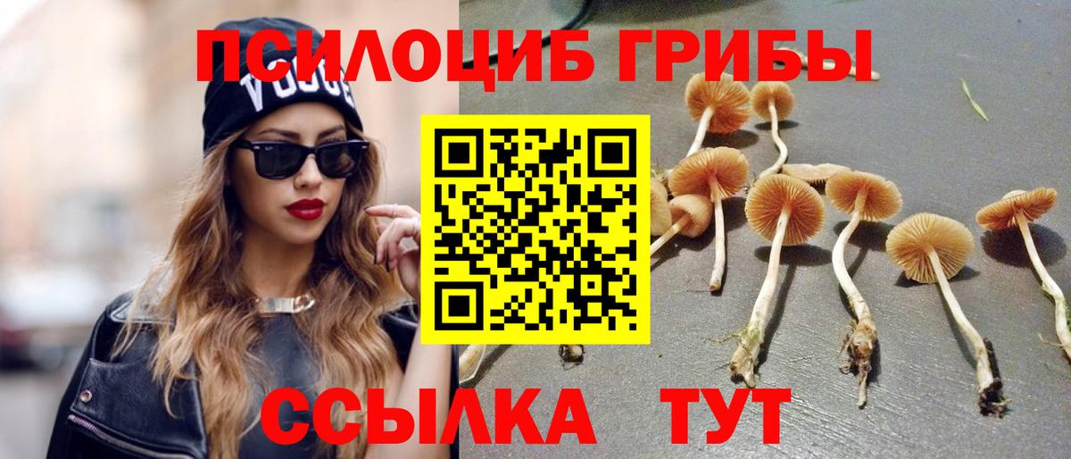 Галлюциногенные грибы Cubensis Ноябрьск