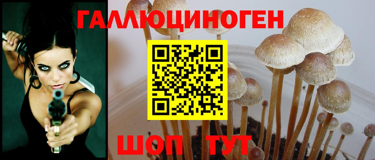 Ноябрьск  Псилоцибиновые грибы Psilocybine cubensis  Псилоцибиновые грибы мицелий  наркошоп  Вход с VPN 