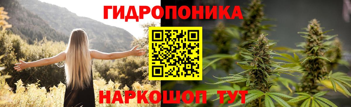 Марихуана Amnesia  Вход с VPN  Бошки Шишки Bruce Banner  Каннабис план  Ноябрьск  Каннабис Amnesia 